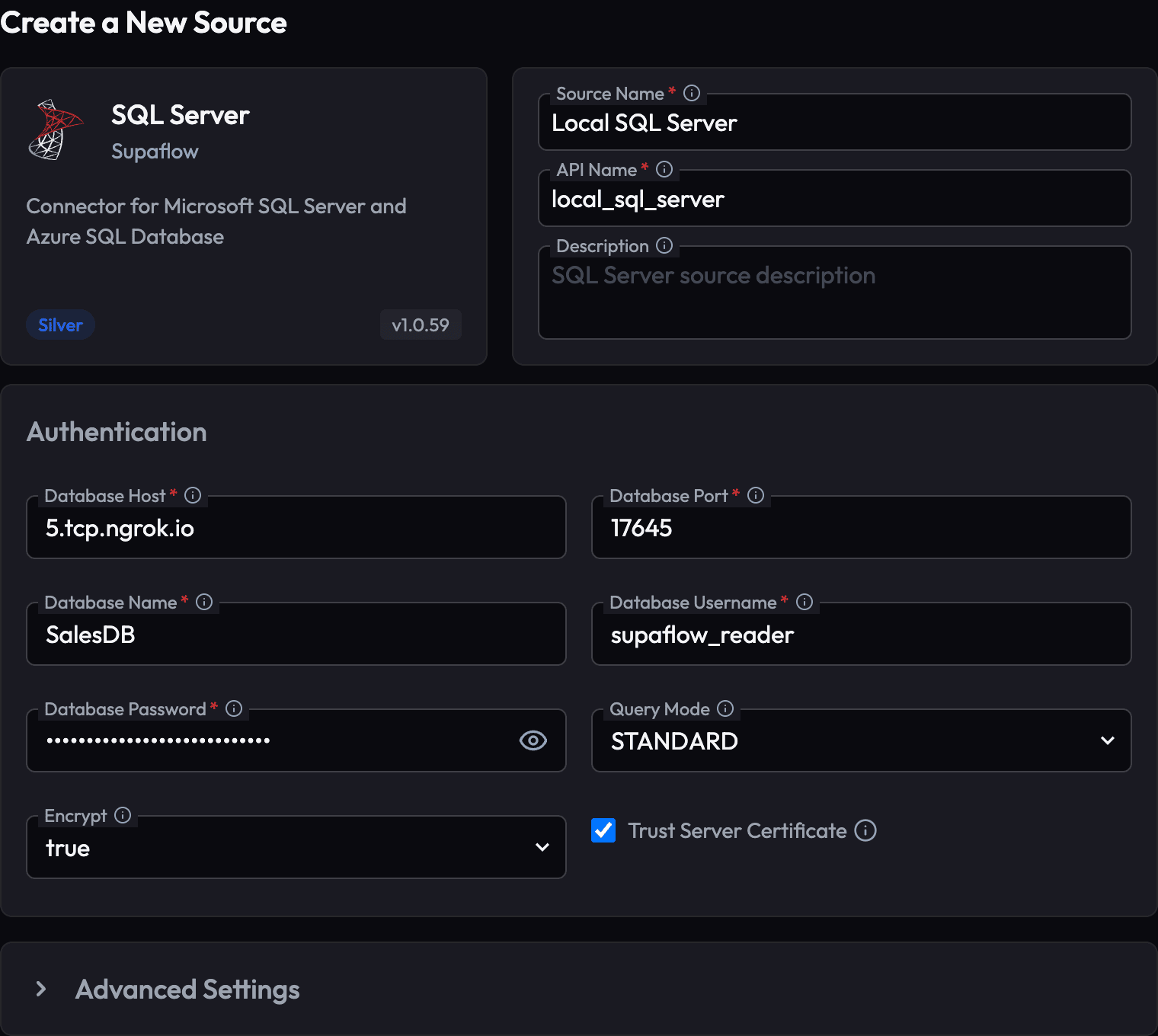 SQL Server datasource configured with an ngrok endpoint